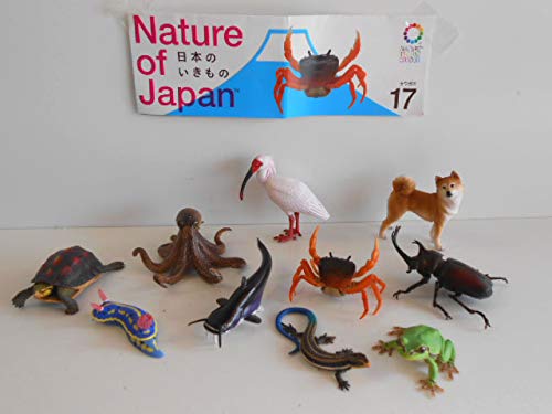 ★Jvi29Ftネイチャーテクニカラー日本のいきもの02全10種 Amazon | Jvi29Ftネイチャーテクニカラー日本のいきもの02全10種マダコ