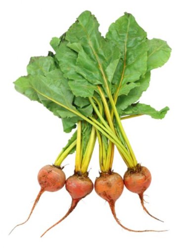 HRVST Chef's Market Fresh Gold Beets, 10 lb Case, Mild and Earthy Flavor, Premium Bulk Produce for Gourmet Chefs, Vibrant Color Without Bleeding, Perfect for Roasting, Salads, and Culinary Excellence