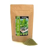 BIO Brennesselpulver (500g), Brennessel gemahlen, aus kontrolliert biologischem Anbau, glutenfrei, laktosefrei, laborgeprüft, vegan, 100% naturrein, natürlich ohne Zusätze, Brennnesselpulver