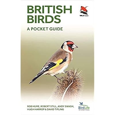 British Birds A Pocket Guide WILDGuides of Britain & Europe Paperback 20 Aug 2019