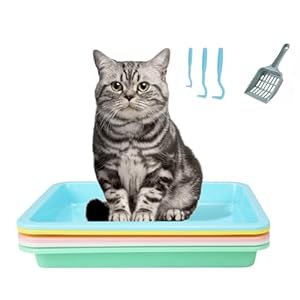 YASUOA Ultimate Kitten Litter Training Set – Best Non-Toxic Litter Box, Odor Control and Easy Clean Essentials for Kittens-5Packs