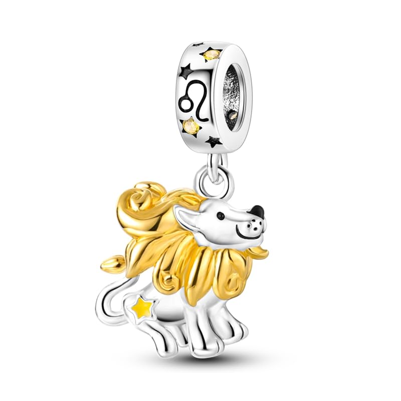 Pandach Damen Charm Anhänger für Armband 925 Sterling Silber Charms Beads passend für Armband und Halskette, Kompatibel mit Europäischen Armbänder für Frauen Mädchen C1
