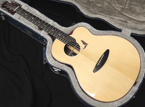 aNueNue aNN-LS800 LS Acoustic Future Series Design by Luthier Sugita I[P AkGkG AR[XeBbNM^[ cifUC