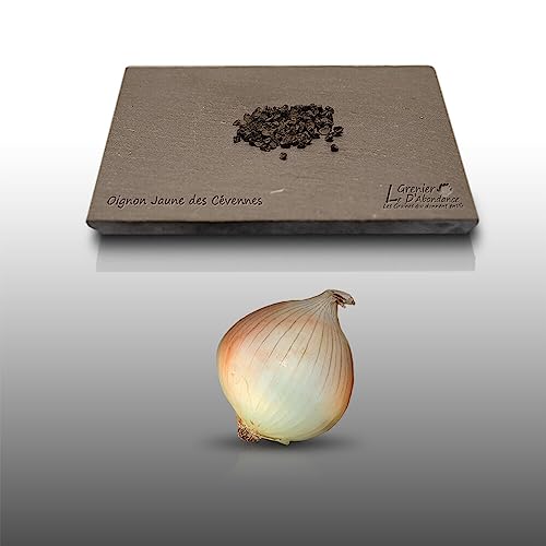 100 graines à semer - Le Grenier d'Abondance - OIGNON Jaune des Cévennes - Allium cepa