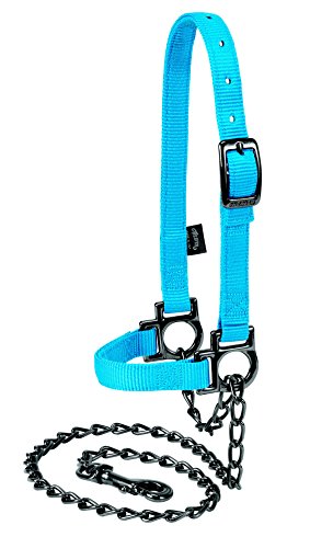 Licol réglable en nylon Weaver Leather de qualité supérieure avec chaîne