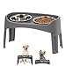 IRIS Large Plastic Elevated Feeder, Gray