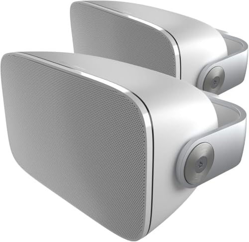 B&W AM-1 Architectural Monitor Weather-Resistant Loudspeaker for Patio, Garden or Poolside, Features 1" Aluminum-Dome Tweeter, 5" Glassfibre Cone Midrange & Auxiliary Bass Radiator (Pair) (Renewed)