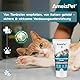 AmeizPet Gastro Intestinale Paste für Katzen, Unterstützung der Darmgesundheit und Darmflora, Verdauungsunterstützendes Ergänzungsmittel für Katzen und Kätzchen, 40g (1.4 Oz)