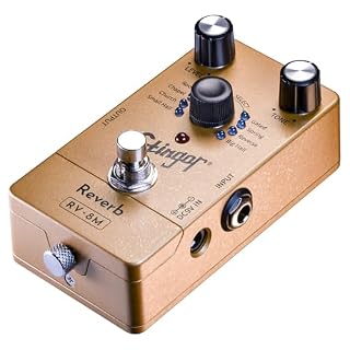 Reverb Guitar Pedal – RV-8M Effects Guitar Pedal, 8 Reverb Types, 24Bit/192kHz High-Resolution, Spring/Hall/Reverse/Gated Reverb, Noiseless Switching - Les Beatles, Paul McCartney, John Lennon, RIngo Starr, George Harrison