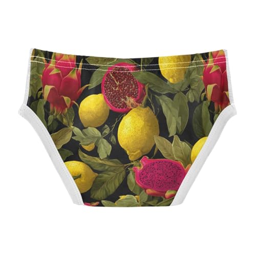 Wusikd Yellow Lemons Boys' Underwear Cotton Dragon Fruit Boys Briefs Soft Toddler Underwear 2T2