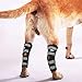 Dog Rear Leg Hock Brace, Pair of Canine Dog Leg Joint Wraps Compression Brace Protects Wounds, Heals and Prevents Injuries and Sprains Helps with Loss of Stability Caused by Arthritis