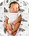 Stretchy Newborn Lounger Cover 2 Pack Sung Fitted Removable Slipcover,Ultra Soft Breathable,Owl & Bear