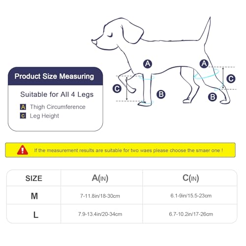 KINBOM Hunde Kniebandage Hinterbein, Hunde Hinterbein Bandage Hunde-ACL-Klammer Hinterbein Hunde-Kniestütze für Hunde-ACL-Klammer Hinterbein (Schwarz, Größe M)