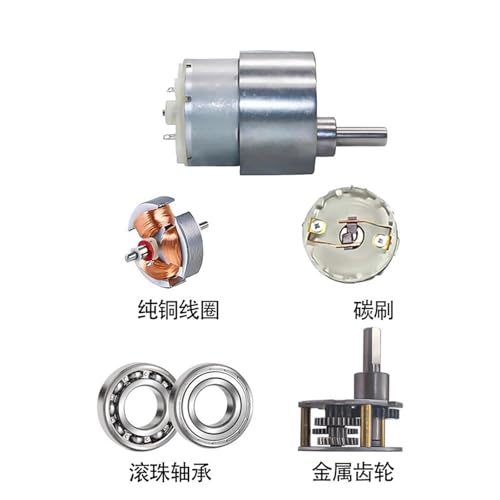 Motor micro 37-500 de 12V ideal para automatización y robótica de gran par 4