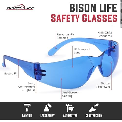 Image of BISON LIFE Assorted Safety Glasses for Men & Women ANSI Z87.1, 6 Pack