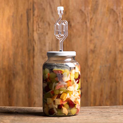 Kit de fermentação de vidro 3 litros com airlock