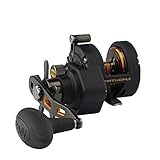 PENN Fathom II Star Drag Conventional Fishing Reel, Black, Gold