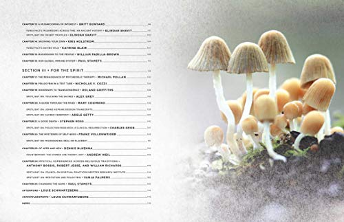 Fantastic Fungi: Expanding Consciousness, Alternative Healing, Environmental Impact // Official Book of Smash Hit… - Image 3