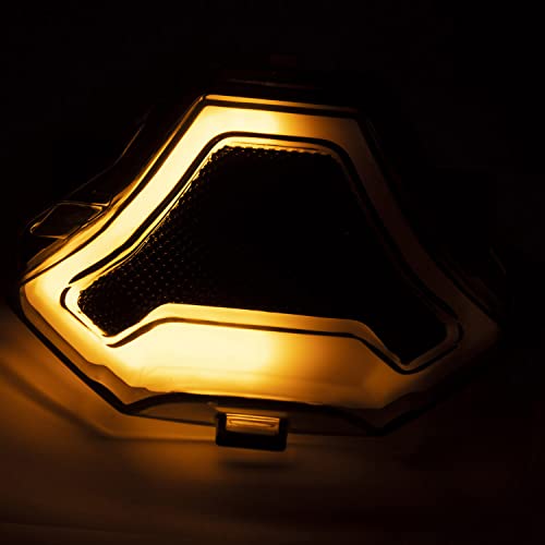 Domary Lâmpada traseira LED Luz de freio de motocicleta Lâmpada traseira com LEDs de mudança de dire