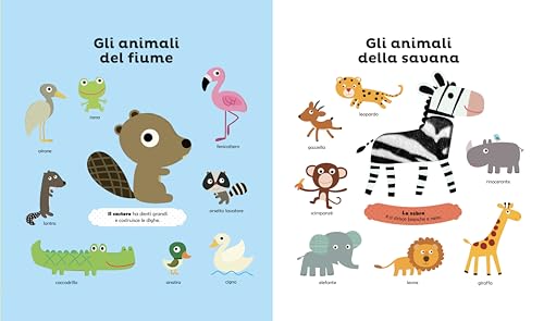 Gli Animali. Ediz. A Colori - 3