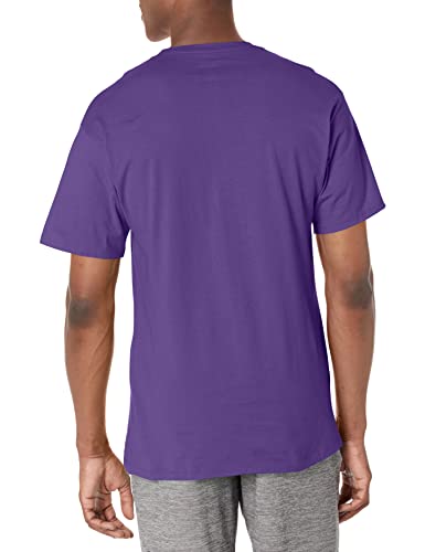 Champion Mens Classic Jersey Tee Shirt, Purple Pr, X-Large Us #TOP1