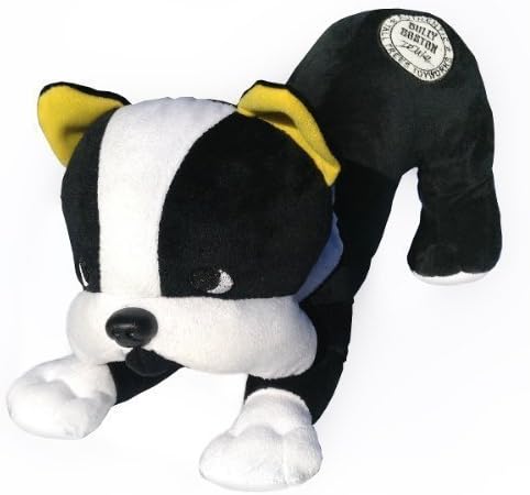 Boston Terrier
