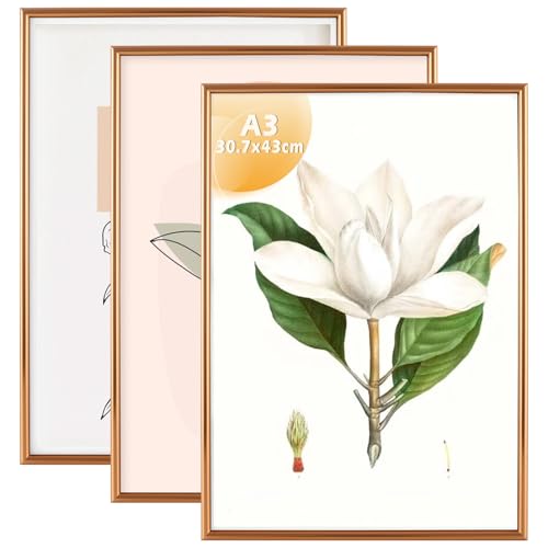 VIDETOL A3 Photo Frame Set of 3, Aluminum A3 Picture Frames with Perspex Front, Wall Mount Gold Frame for Photo Picture Certificate Poster Wall Decor, 30.7x43cm
