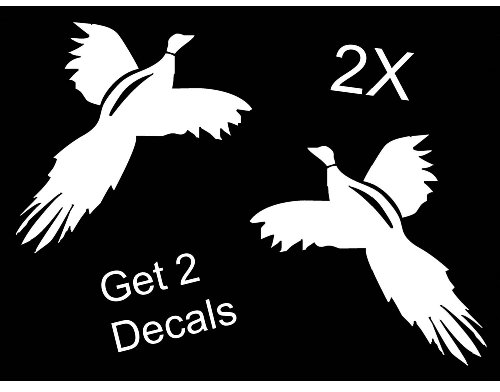 Pheasant Bird Hunting Shotgun Quail Gun Target Shooting Truck SUV Van Trailer