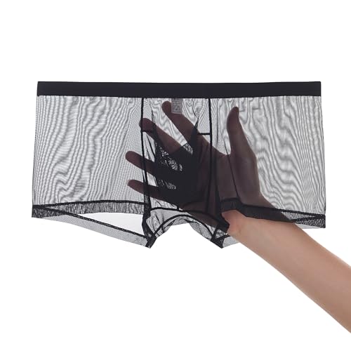 Men's Sexy See Through Boxer Briefs Mesh Sheer Dual Pouch Underwear