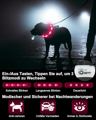 Joytale Leuchthalsband Hund USB Aufladbar Hundehalsband Leuchtend für Große Mittel Kleine Hunde und Welpe, Led Halsband mit 3 Modi für Sicherheit, Rosa
