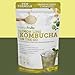 Essenzefruits Instant Lemon Lime Ginger Kombucha Powder Tea Mix Beverage - Sugar Free, Fermented & Dried - Just Add Water! Live Probiotics & Prebiotic Blend - Makes up to 30 Cups (8 Oz, 226g)