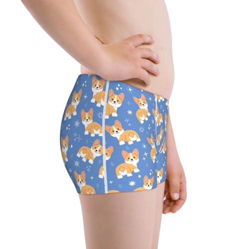 Boys' Cotton Boxer Brief Soft Underwear-Corgi2