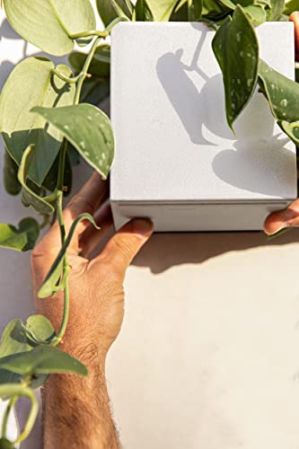 Veradek Forma Hanging 5" Planter - 2 Pack #TOP4