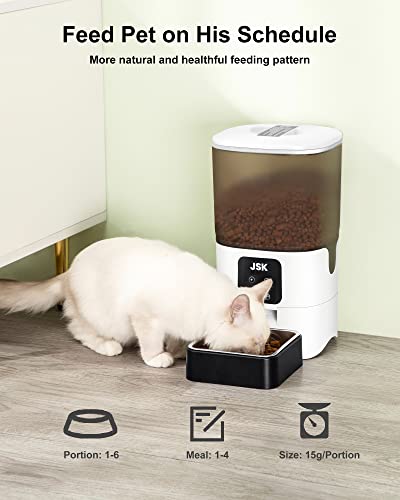 6 day cat feeder