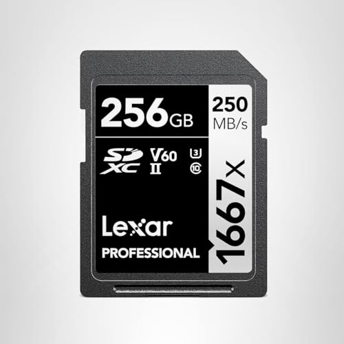 Lexar Professional 1667x V60 256GB