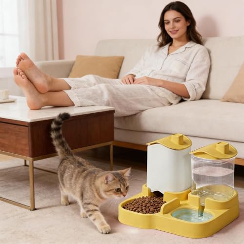 Mangeoire et abreuvoir automatique chat avec distributeur d'eau chien
