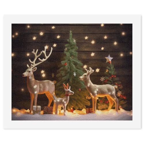 Peinture par numéros kit de peinture sur toile idée cadeau loisir créatif