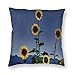 ZCHW Copertura del Cuscino Campo di Girasole Cielo Blu Cuscini di tiro Copre Accent Home Divano Fodere per Cuscini Federa Regalo Decorativo 45X45 CM