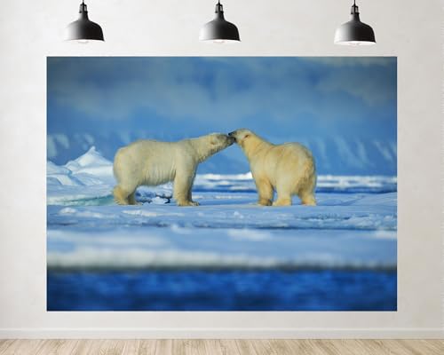 Trykid 5x3ft Arctic Polar Bear Backdrop Ice Ocean Photography Wild Arctic Animal Background Tapestry Nature Documentary Wildlife Filming Party Decoration Photo Studio Prop Fabric