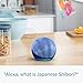 Amazon Echo Dot (Newest Model) | Limited-Edition Japanese Shibori Design by Joe Ando