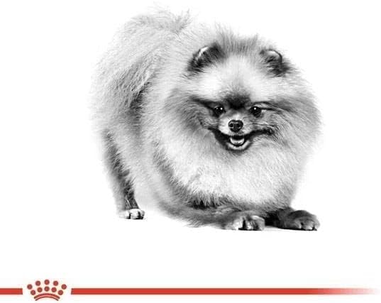4 x Royal Canin Pomeranian Adult, Hondenvoer, 3 kg