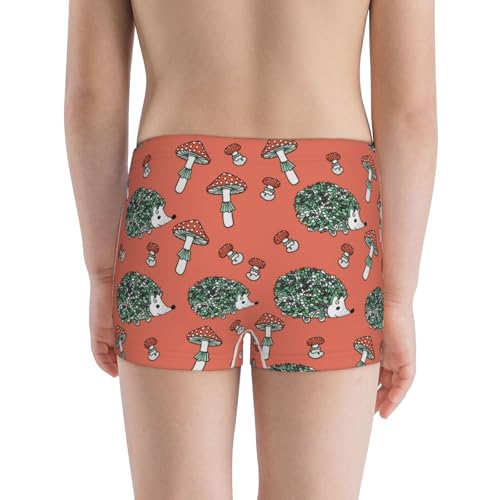 Boys' Cotton Boxer Brief Soft Underwear-Hedgehog Mushroom3