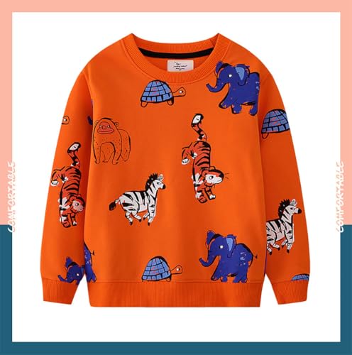 Boys Sweatshirts Casual Sweatshirts Cotton Sweatshirts Long Sleeve T-shirts Crew Neck Cartoon Tops for Boys-2044