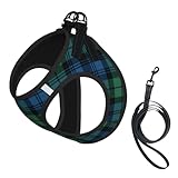 Scottish Plaid Clan Campbell Green Blue Tartan No Pull Dog Harness and Leash Set, Cute Reflective Adjustable Vest for Small Dogs,Breathable Mesh Puppy Harness for Walking Hiking,Large