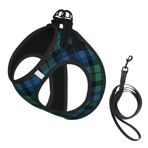 Scottish Plaid Clan Campbell Green Blue Tartan No Pull Dog Harness and Leash Set, Cute Reflective Adjustable Vest for Small Dogs,Breathable Mesh Puppy Harness for Walking Hiking,Large