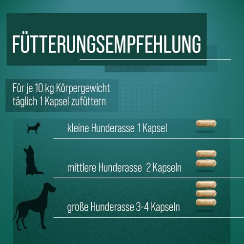 tierlieb Grünlippmuschel Hunde-Kapseln | 150 Kapseln