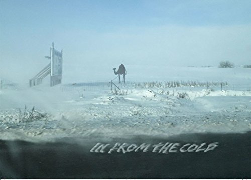 Preisvergleich Produktbild In from the Cold [DVD-AUDIO]
