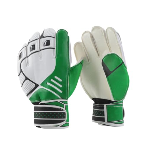 KJOET S[L[p[O[u | ~߃S[L[p[Ah͂ȃObv\Aϋv̂ tBK[K[hebNXAlƎҌAZg[jOɍœK