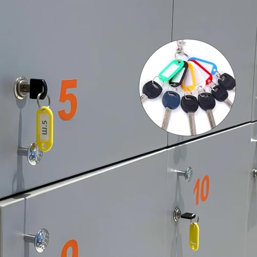 100 Stück Schlüsselanhänger,Kunststoff Schlüsselanhänger mit Etiketten,Schlüsselschilder Beschriftbar mit Schlüsselringen für Schlüssel, Zuhause, Büros, Pet ID, Koffer,Gepäckanhänger(10 Farben)