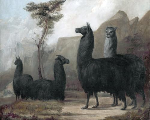 Impression sur Toile de Qualité Musée : Tableau Portrait Jacques Laurent Agasse 60x90cm